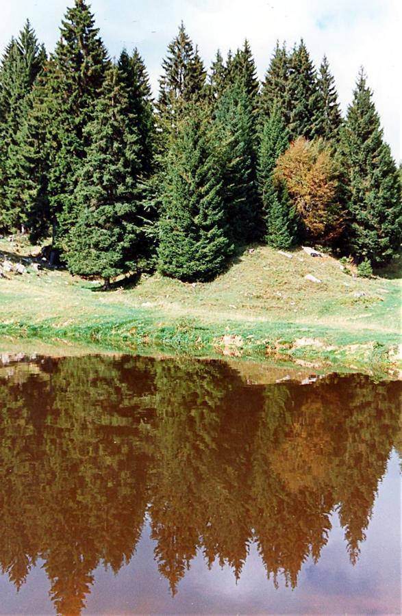Al Pino Hotel Enego
